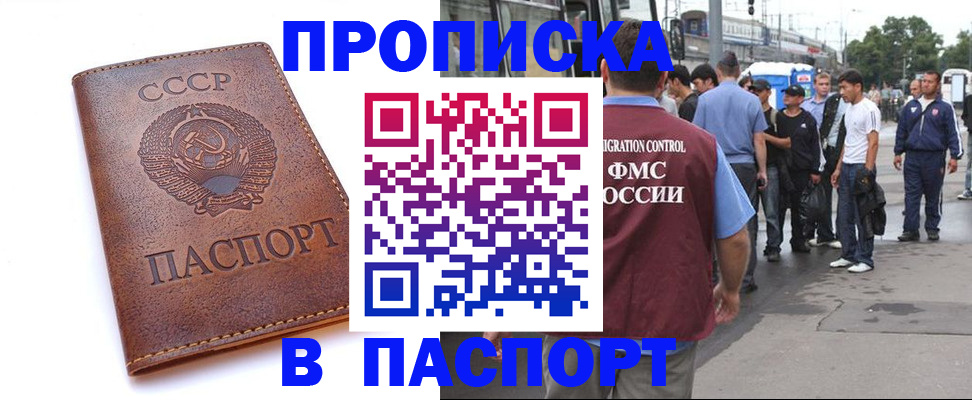 временная регистрация поиск в Светлом